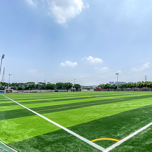 其它運動場地 Football field