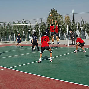 其它/Volleyball court/排球場